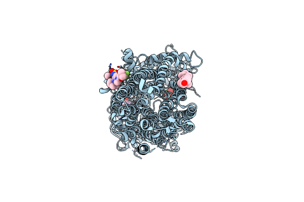 8EIG image
