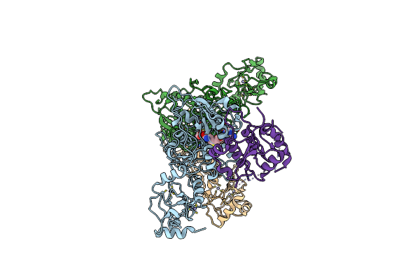 8EII image