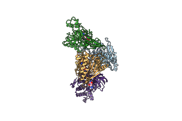 8EIP image