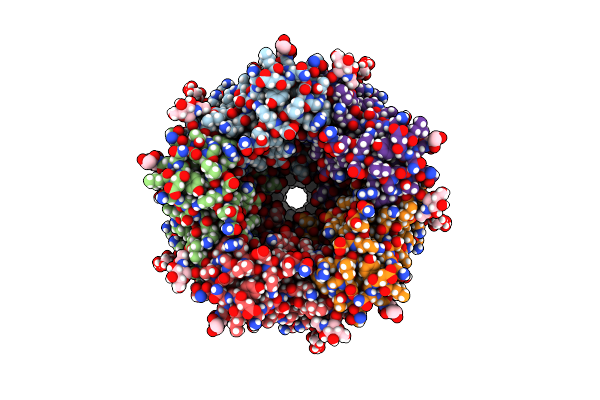 8EIS image