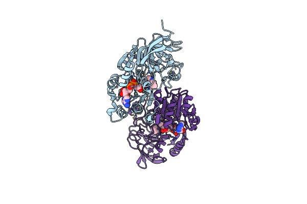 8EIX image