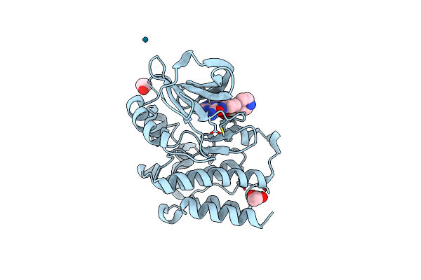 8EJB image