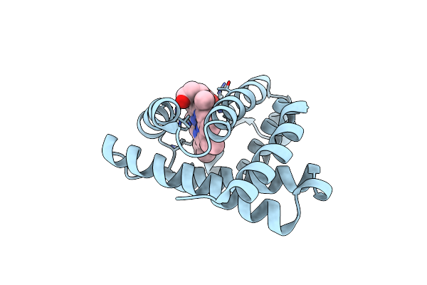 8EKO image