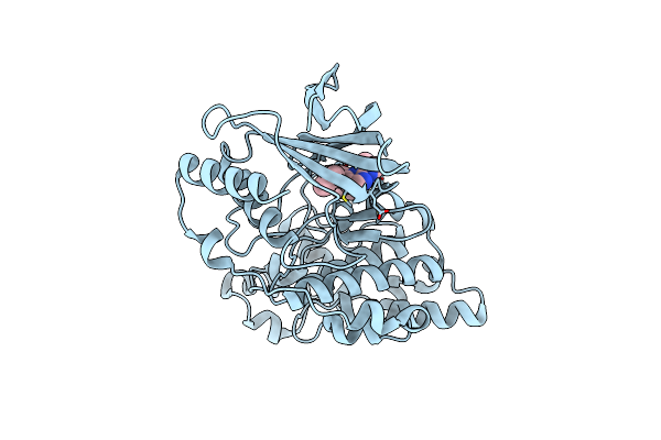 8ELC image