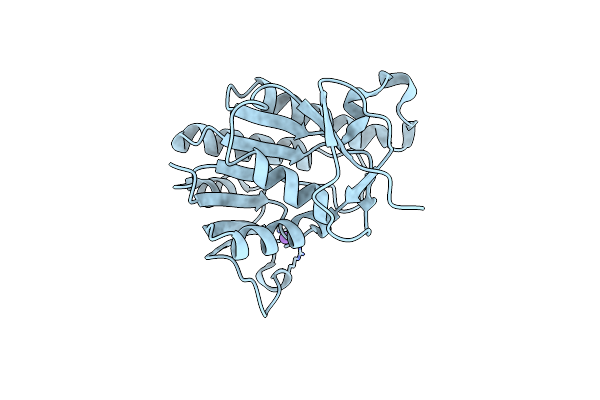 8ELM image