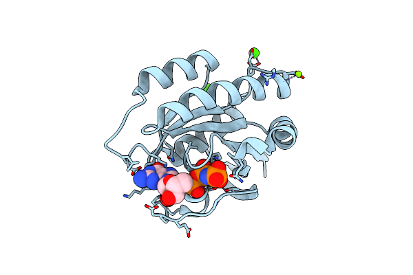 8ELT image