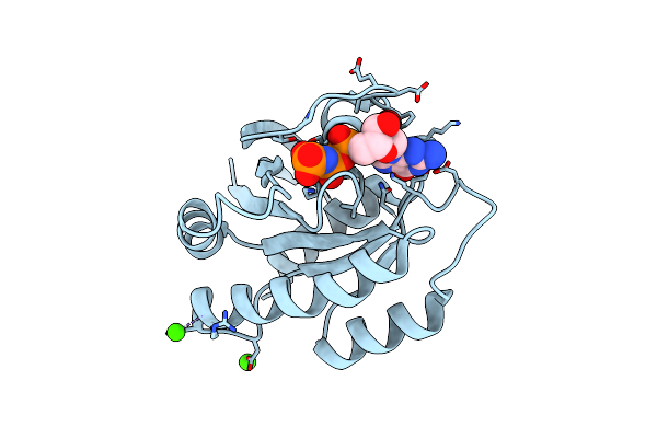 8ELV image