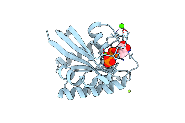 8ELX image