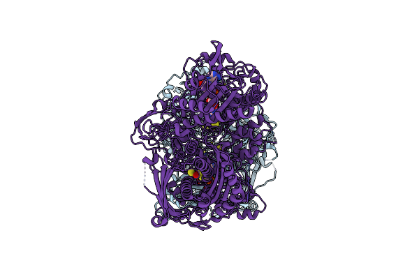8EMT image