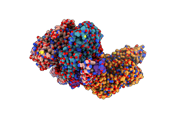 8ENC image