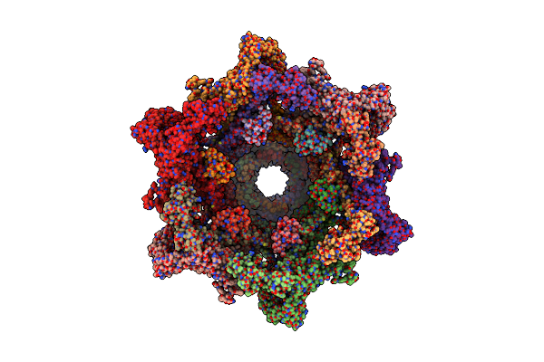 8ENV image
