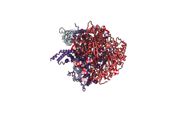 8EOG image