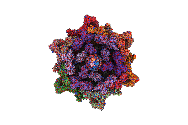 8EON image
