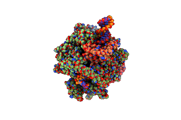 8EOS image