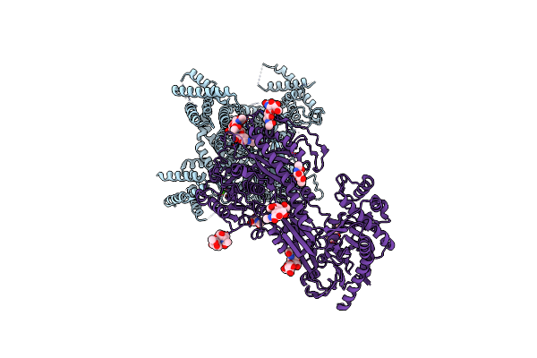 8EPM image