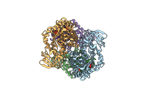 8EQ1 image