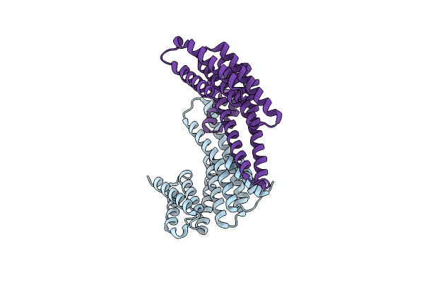 8EQ8 image