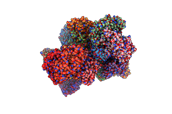 8ERB image