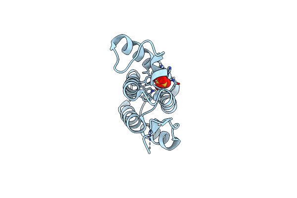 8ERG image