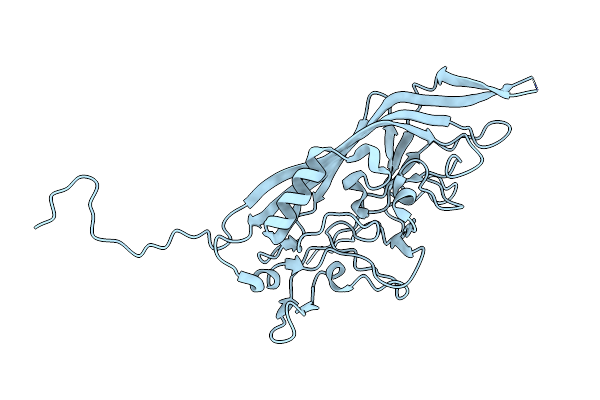 8ERK image