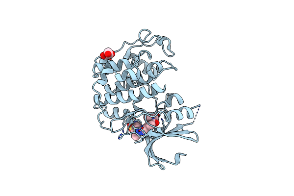 8ERN image