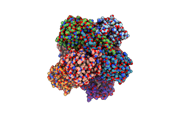 8ESI image