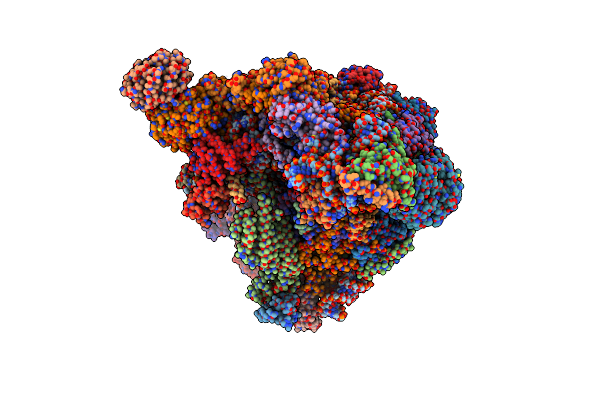 8ESR image