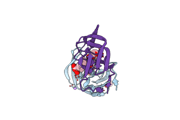 8ESX image
