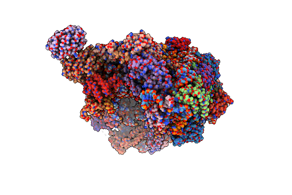 8ETG image