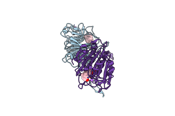 8ETK image