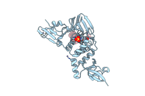 8EUA image