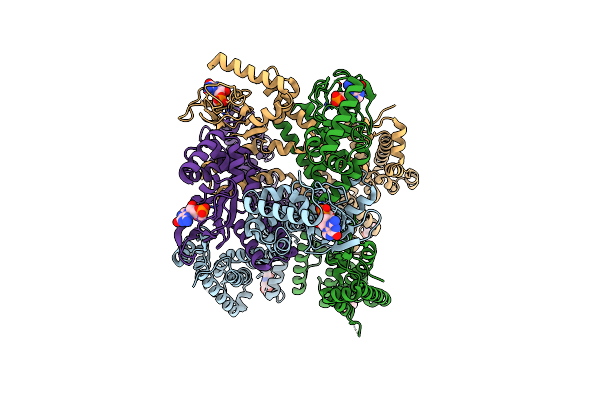 8EV8 image