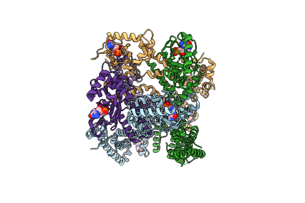 8EVC image