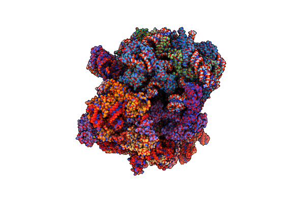 8EWB image