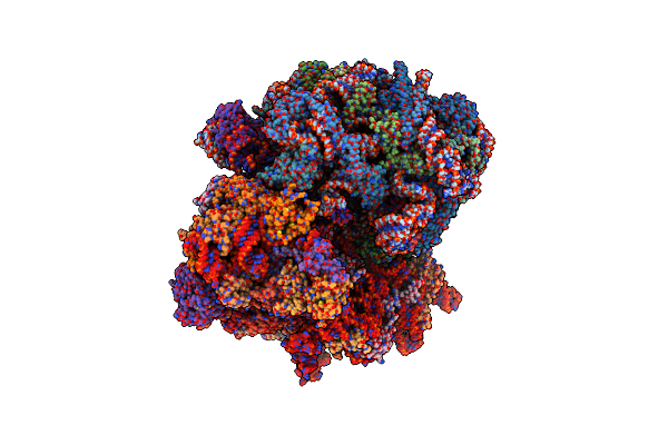 8EWC image