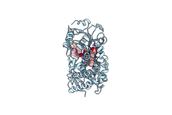 8EWM image