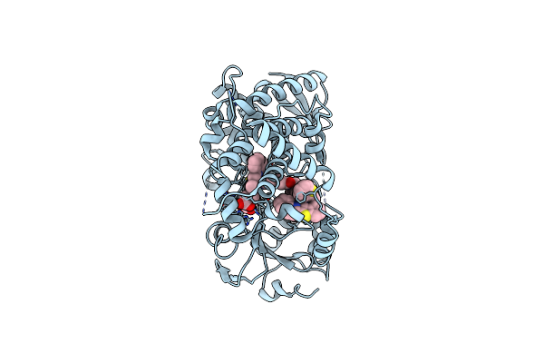 8EWP image