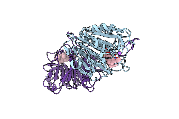 8EWT image