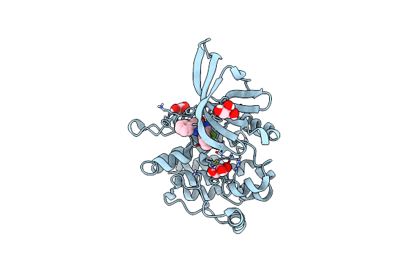 8EX2 image