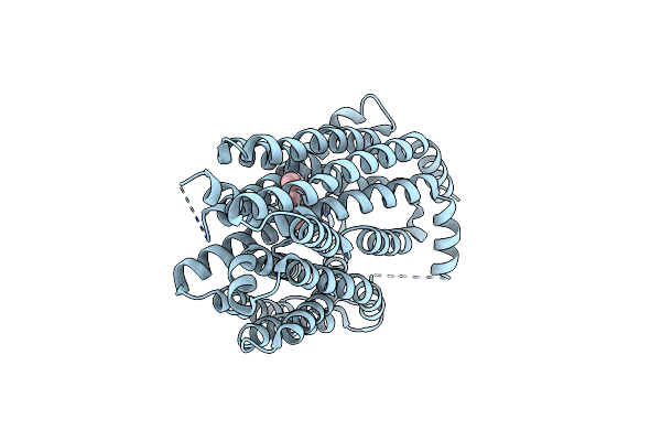 8EX4 image