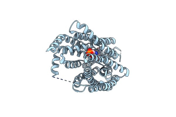 8EX6 image