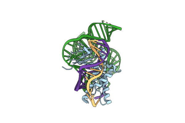 8EX9 image