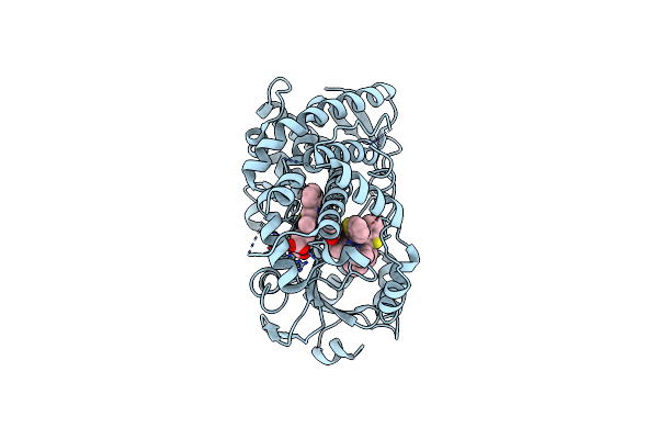8EXB image