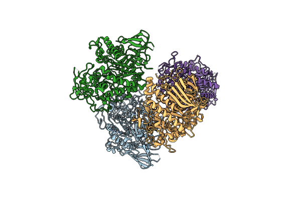 8EXD image