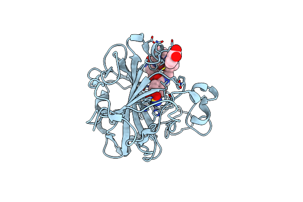 8EXG image