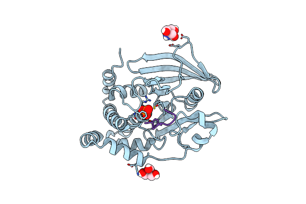 8EXJ image