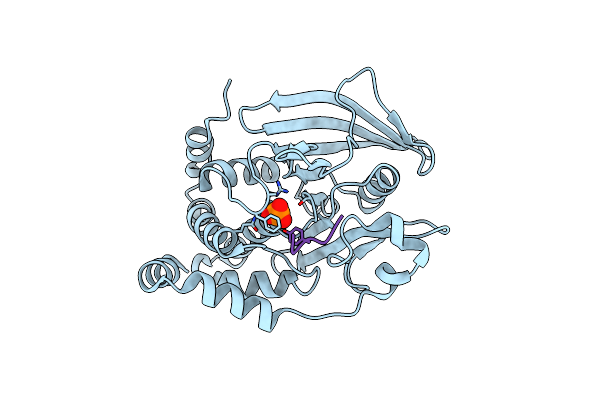 8EXK image