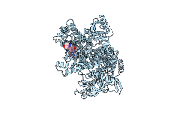 8EXL image