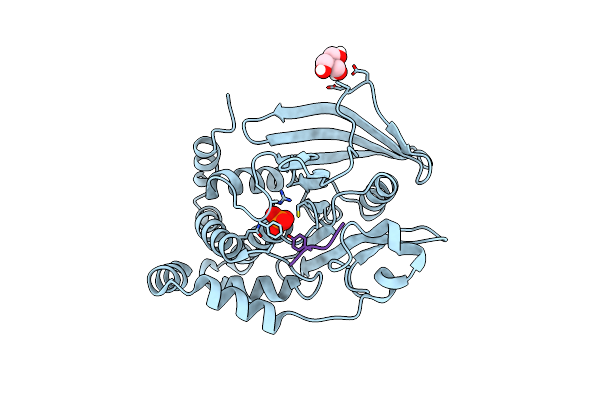 8EXM image