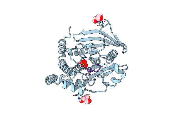 8EXN image
